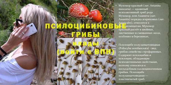 скорость Балахна