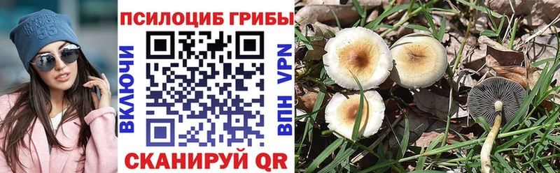 Галлюциногенные грибы Cubensis Узловая